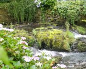 Bodnant Gardens North Wales Stream