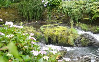 Bodnant Gardens North Wales Stream