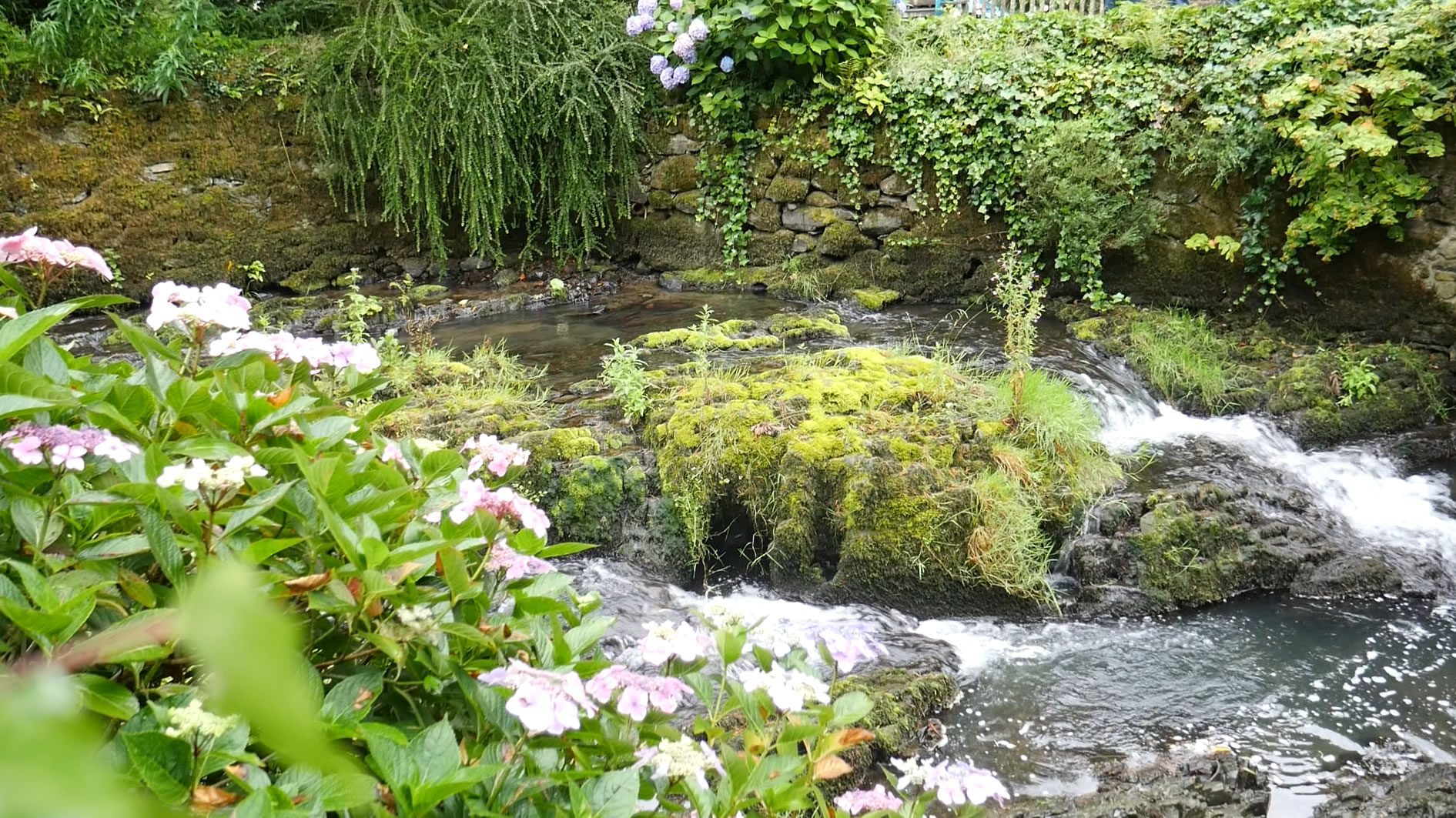 Bodnant Gardens North Wales Stream