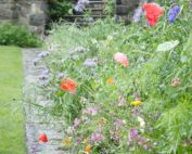 Wild Flower Border at Bodnant Gardens