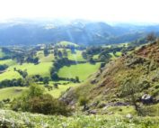 A Purposeful Life - Knowing your purpose