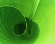 spiritlifestyle healing and well-being