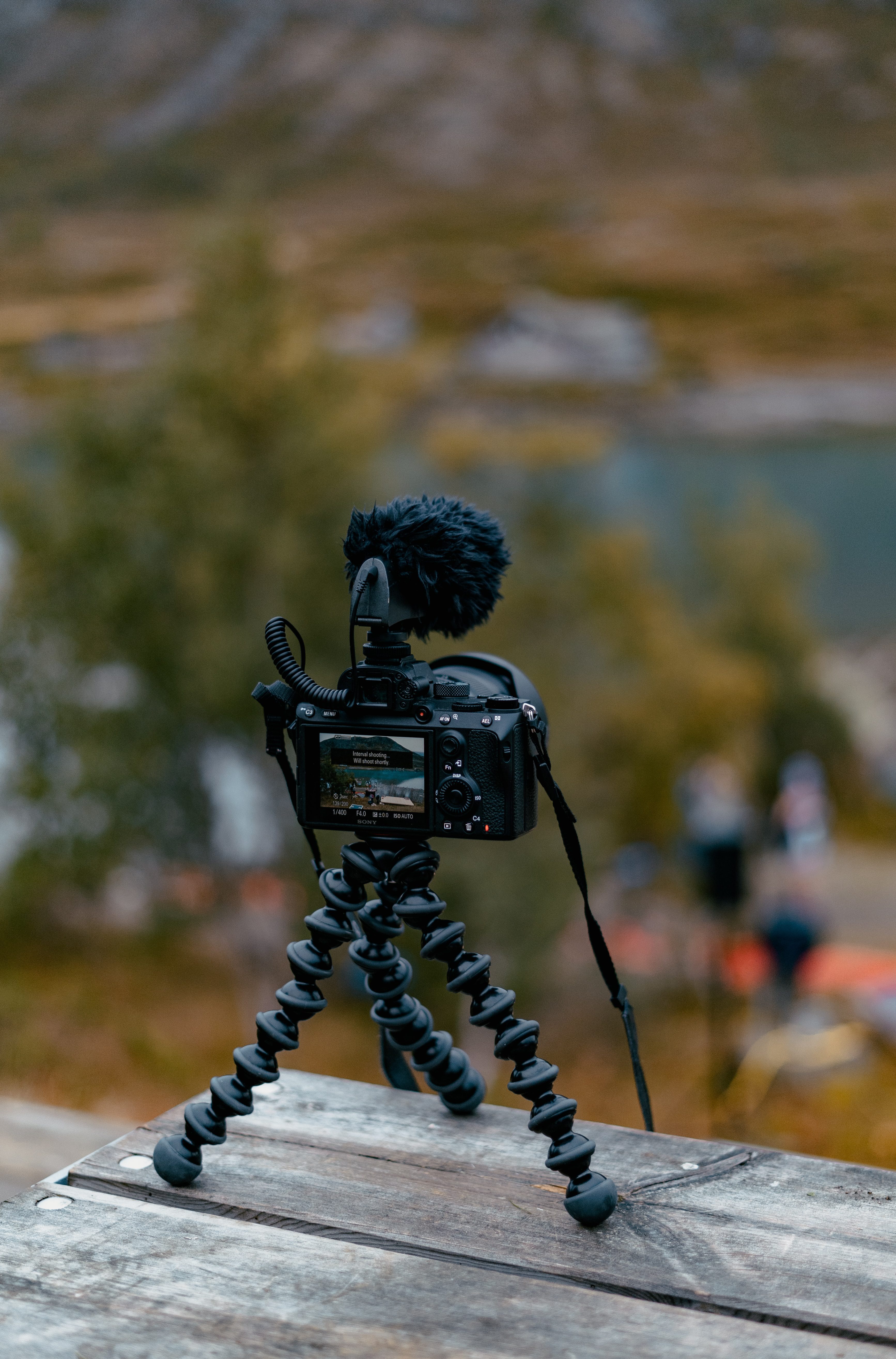 allie-smith-Z_T4WObwYJo-unsplash