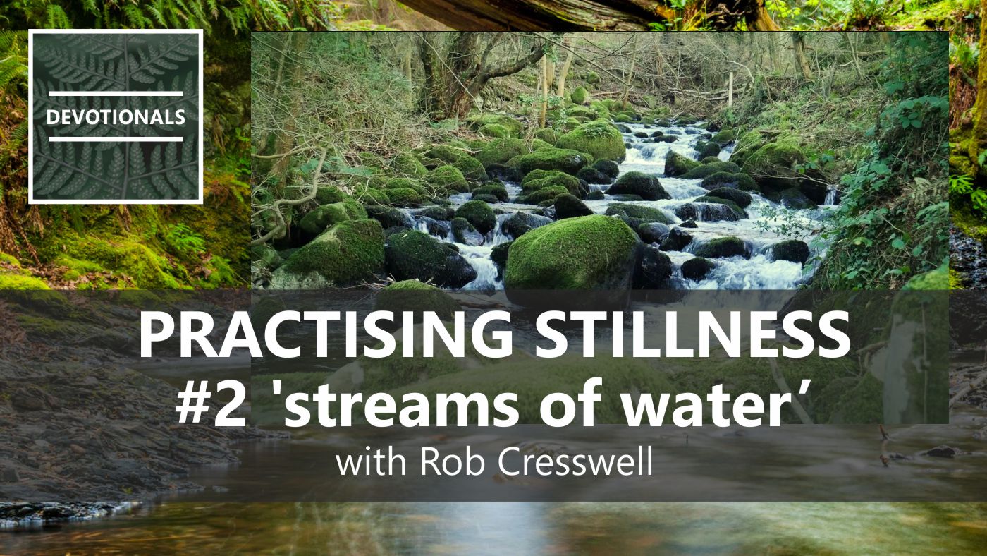 PRACTISING STILLNESS 2 - Streams of Water