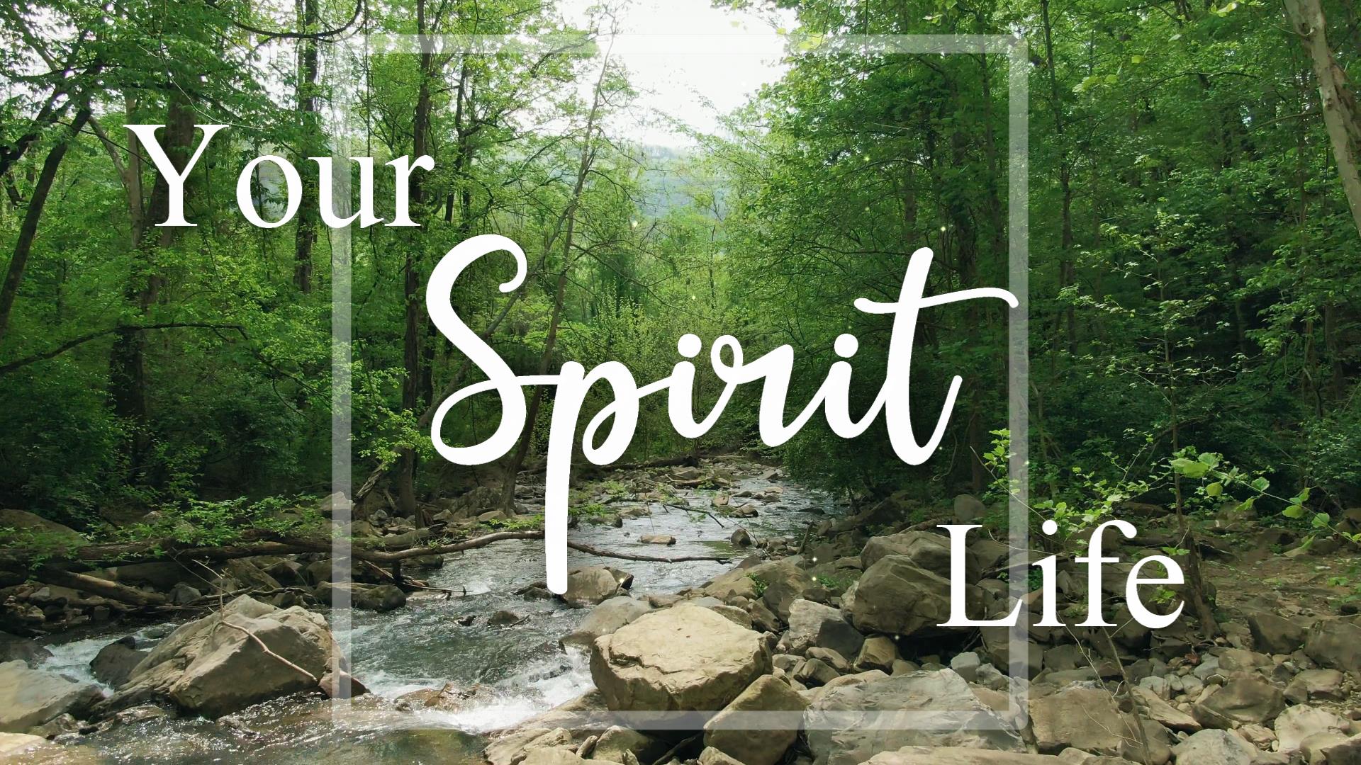 YOUR SPIRIT LIFE with Aliss Cresswell