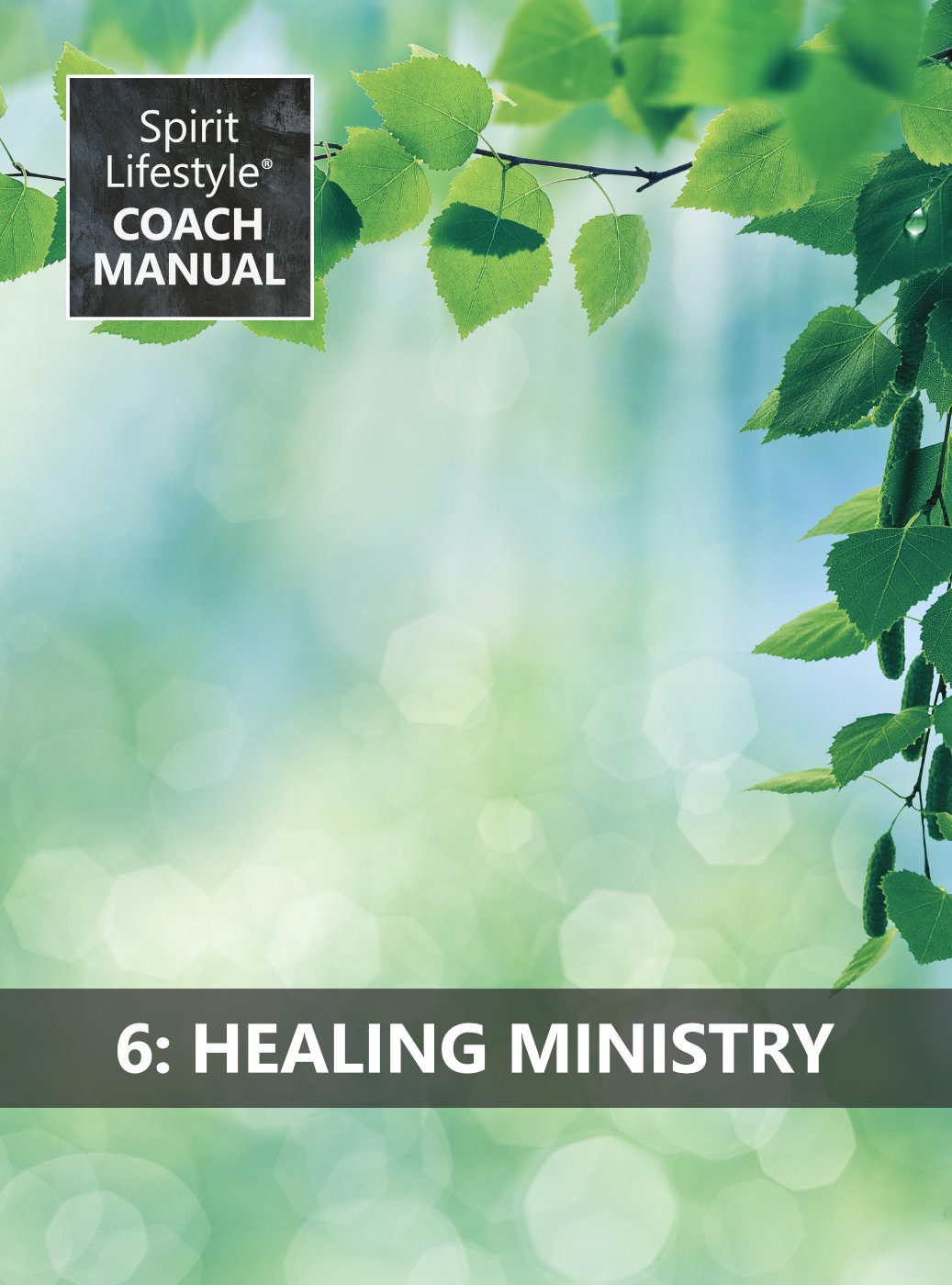 Spirit Lifestyle Coach Manual 06 Healing Ministry