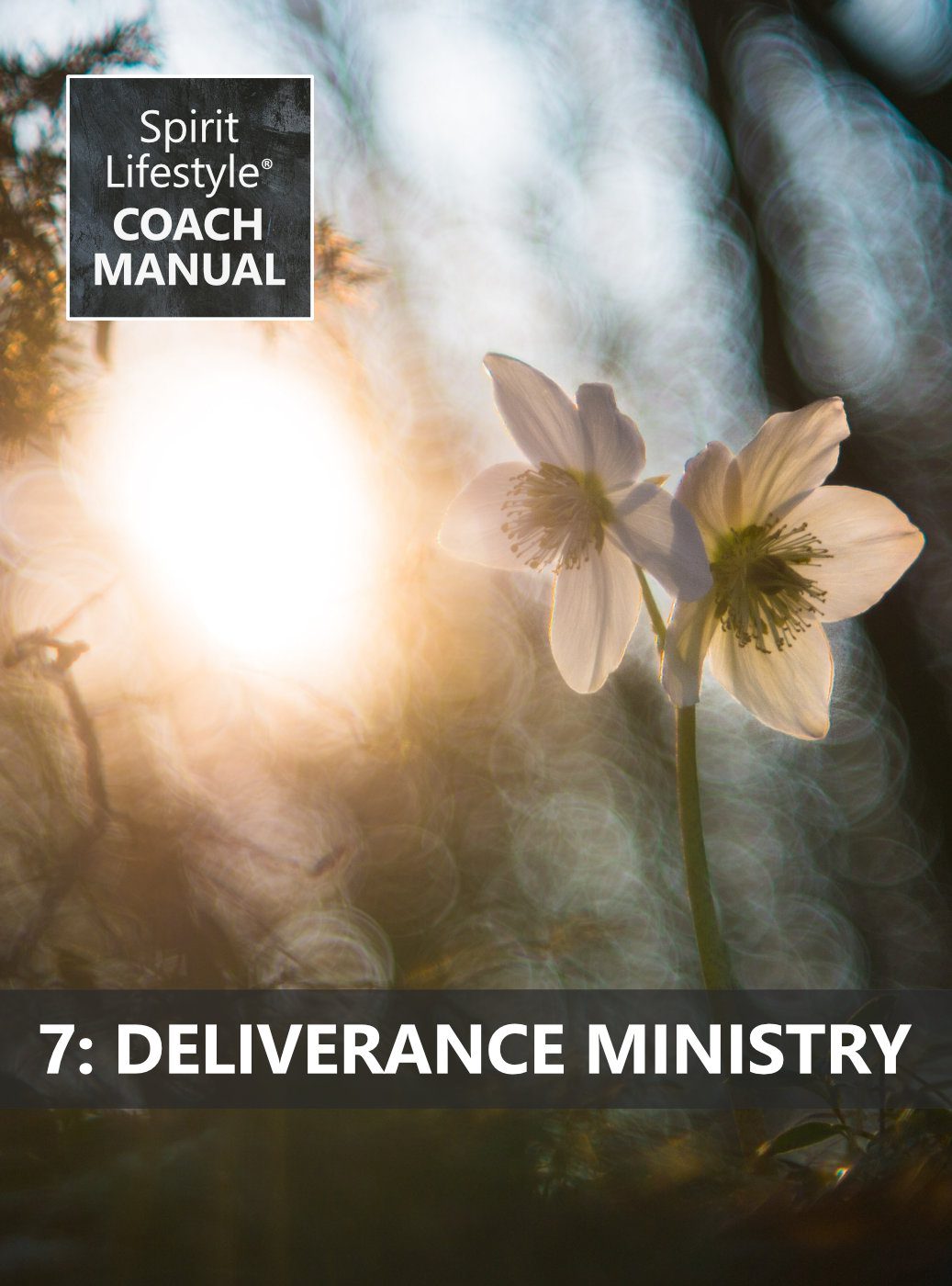 Spirit Lifestyle Coach Manual 07 Deliverance Ministry