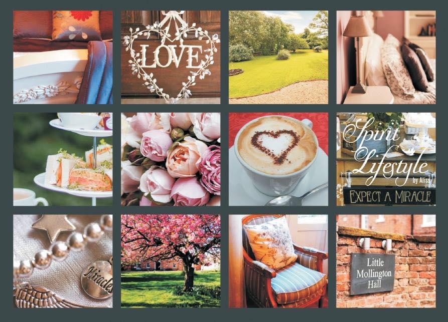 LMH post card reverse