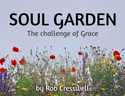 SOUL GARDEN: THE CHALLENGE OF GRACE